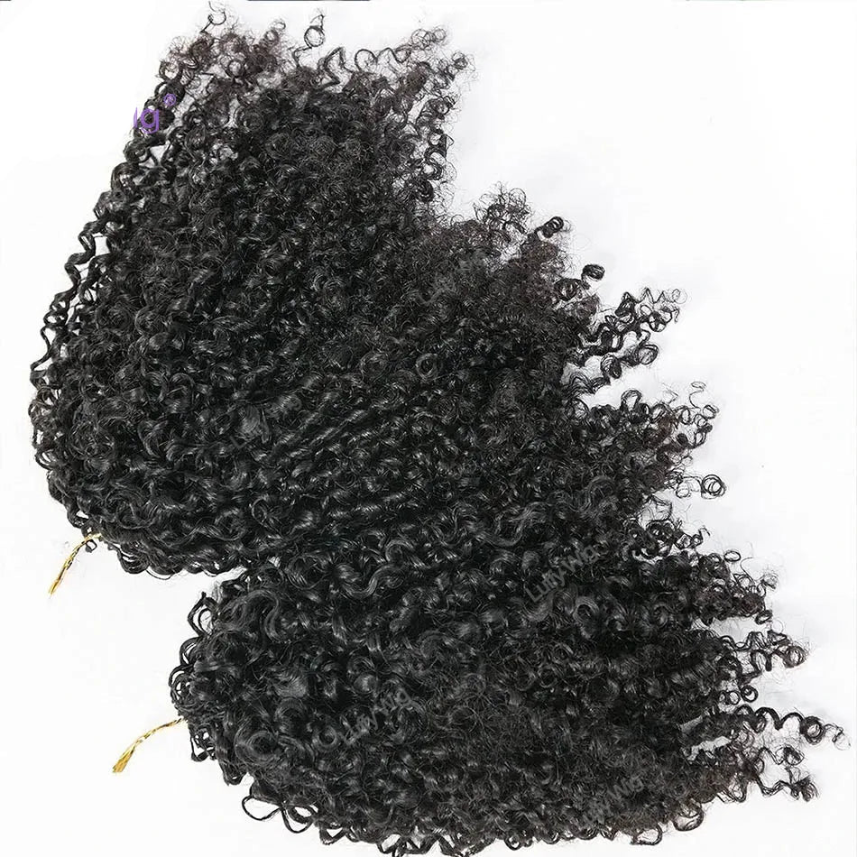 Knotless Crochet Human Hair Braids Extensions