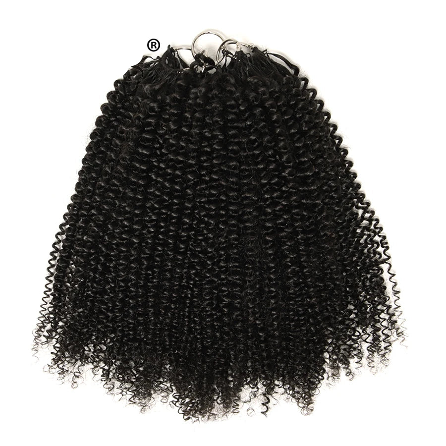 Kinky Curly Crochet Human Hair Knotless