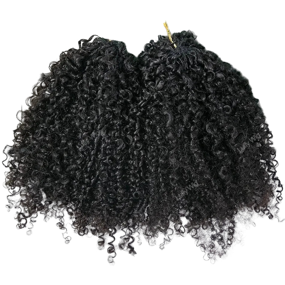 Knotless Crochet Human Hair Braids Extensions