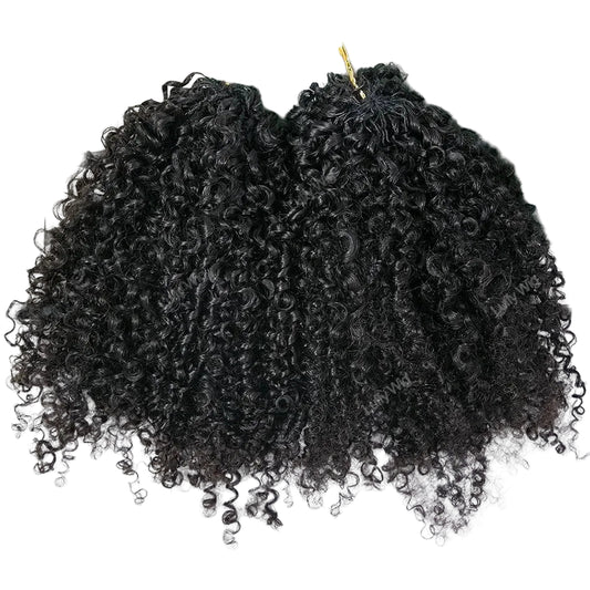 Knotless Crochet Human Hair Braids Extensions