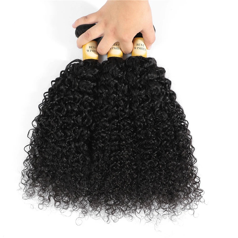 12A Kinky Curly Hair Bundles 1/3/4 Pcs Jerry Curly